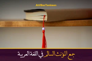 جمع المؤنث السالم في اللغة العربية